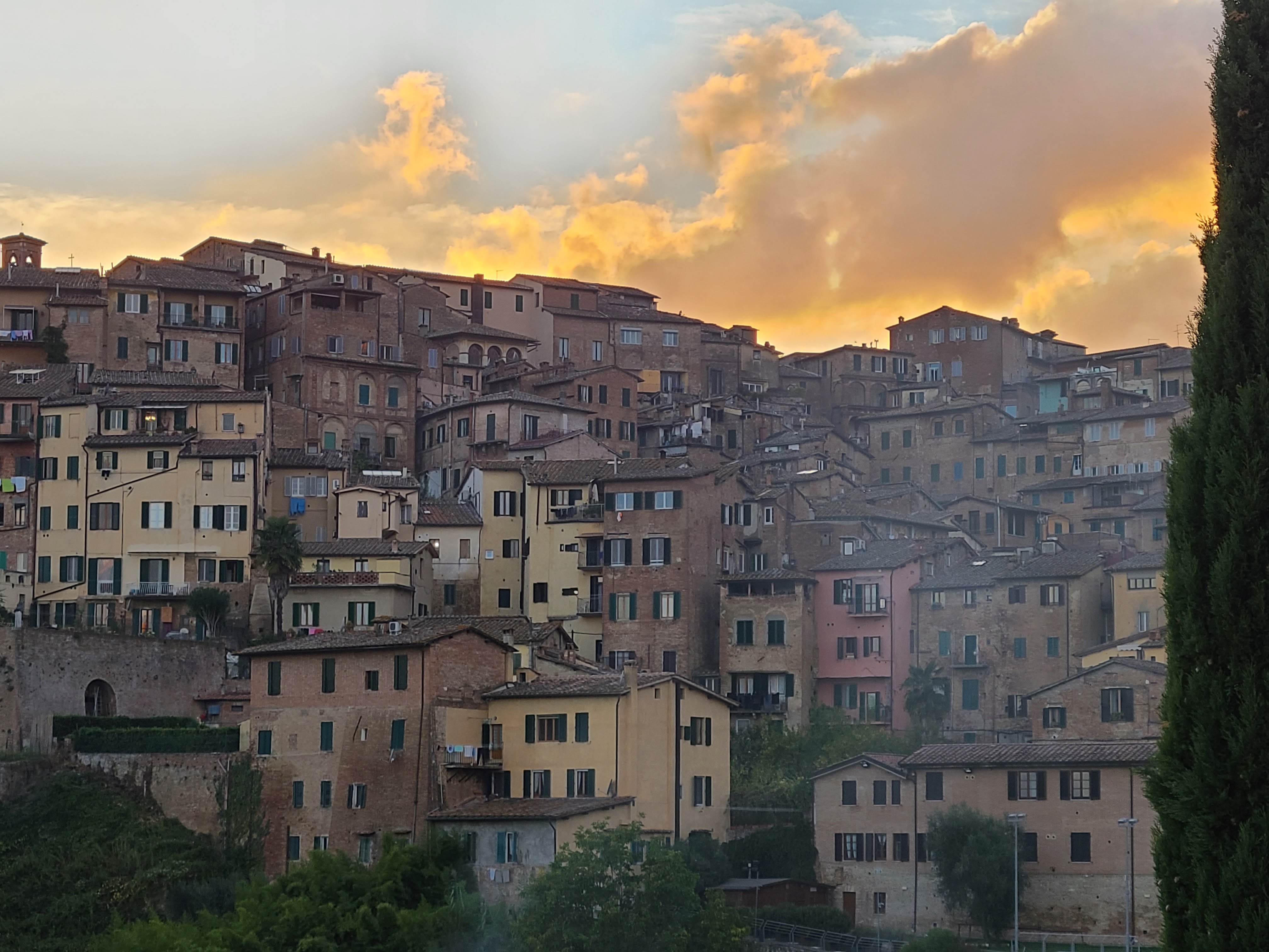 Discover Siena: A Perfect City for Day Trips